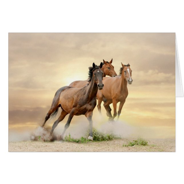Horses in sunset (Devant horizontal)
