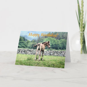 HORSES KAART