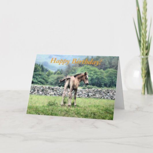 HORSES KAART (Voorkant)