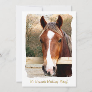 HORSES KAART