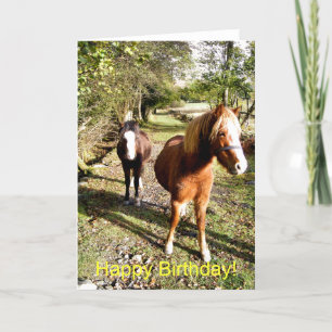HORSES KAART