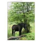 HORSES KAART (Voorkant)