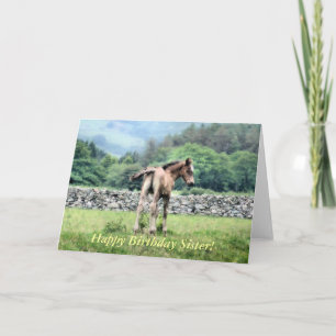 HORSES KAART
