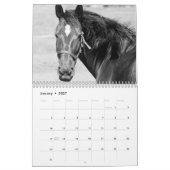 Horses Kalender (Jan 2027)