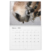 Horses Kalender (Feb 2026)