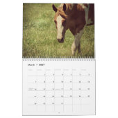 Horses Kalender (Mar 2027)