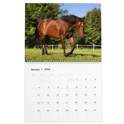 Horses Kalender (Jan 2026)