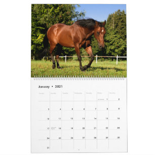Horses Kalender