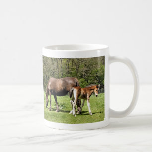 HORSES KOFFIEMOK