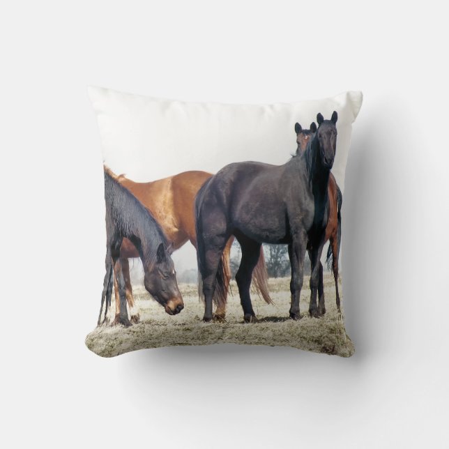 HORSES KUSSEN (Voorkant)