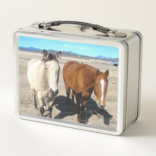 Horses Lunch Box (Achterkant)