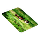 HORSES MAGNEET (Rechterzijde)