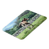 HORSES MAGNEET (Linkerzijde)