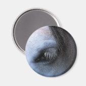 HORSES MAGNEET (Voorkant / Achterkant)