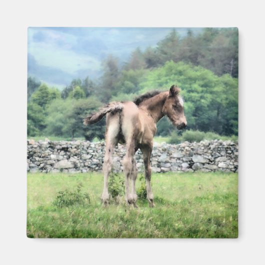 HORSES MAGNEET (Voorkant)