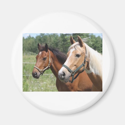 Horses Magneet (Voorkant)