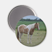 Horses Magneet (Voorkant / Achterkant)