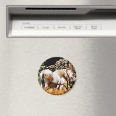 HORSES MAGNEET (Insitu (Vaatwasser))