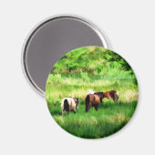 HORSES MAGNEET (Voorkant / Achterkant)