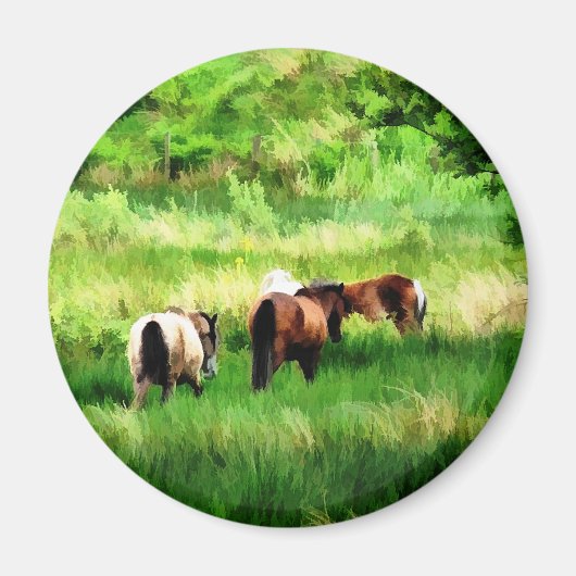 HORSES MAGNEET (Voorkant)