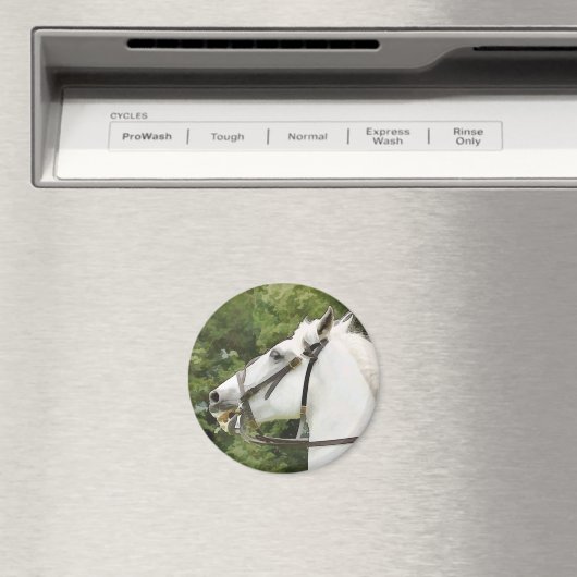 HORSES MAGNEET (Insitu (Vaatwasser))