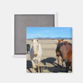 Horses Magneet (Voorkant / Achterkant)