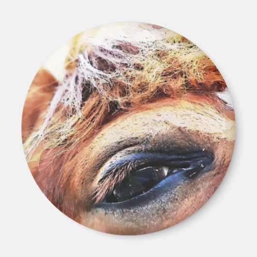 HORSES MAGNEET (Voorkant)