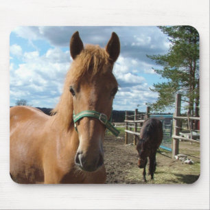 Horses mousepad muismat
