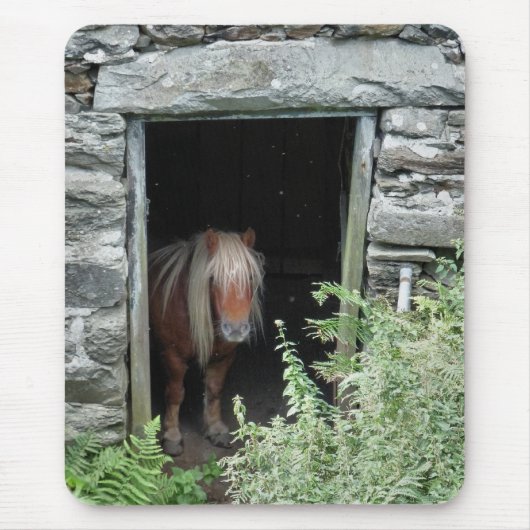 HORSES MUISMAT (Voorkant)