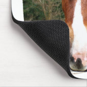 HORSES MUISMAT (Hoek)