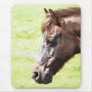 HORSES MUISMAT