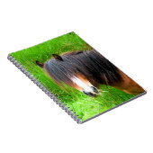 HORSES NOTITIEBOEK (Rechterzijde)