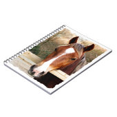 HORSES NOTITIEBOEK (Linkerzijde)