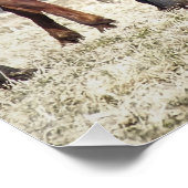 HORSES PERFECT POSTER (Hoek)