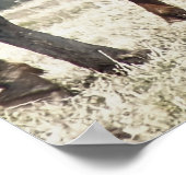 HORSES POSTER (Hoek)