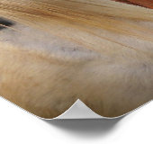 Horses Poster (Hoek)