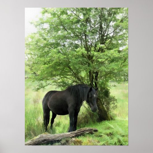 HORSES POSTER (Voorkant)