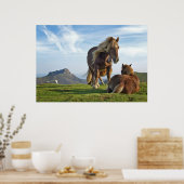 Horses Poster (Keuken)