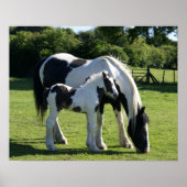 Horses Poster (Voorkant)