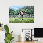 HORSES POSTER (Thuiskantoor)