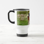 HORSES REISBEKER (Links)