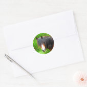 HORSES RONDE STICKER (Envelop)