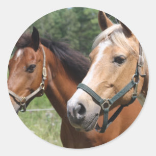 Horses Ronde Sticker