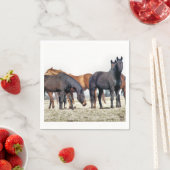 HORSES SERVET (Insitu)