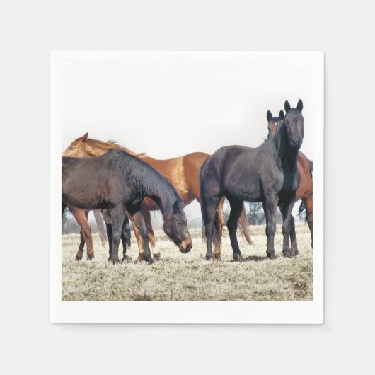 HORSES SERVET (Voorkant)