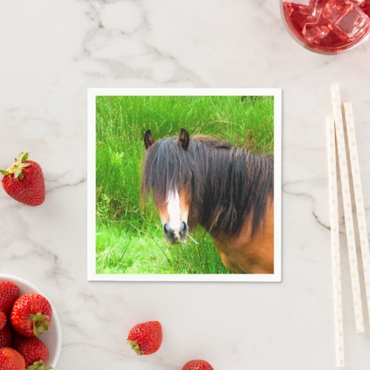 HORSES SERVETTEN (Insitu)