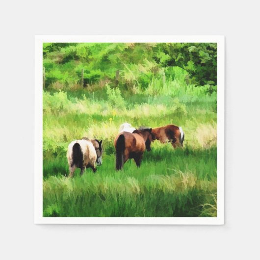 HORSES SERVETTEN (Voorkant)