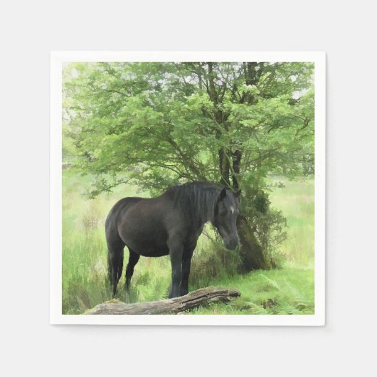 HORSES SERVETTEN (Voorkant)