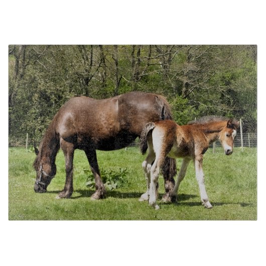 HORSES SNIJPLANK (Voorkant)