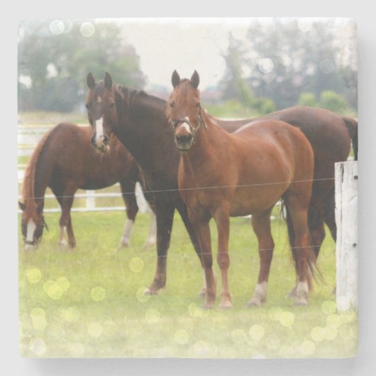 Horses Stenen Onderzetter (Voorkant)